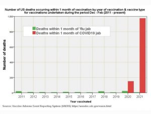 VAERS deaths flu vaccine & Covid vaccine